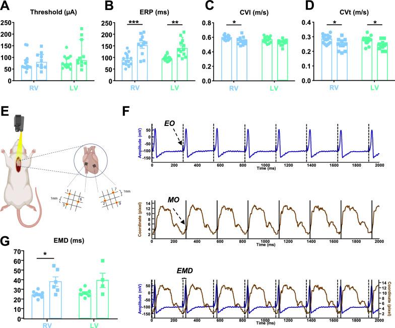 https://cdn.ncbi.nlm.nih.gov/pmc/blobs/588c/12256005/b7364151d033/12967_2025_6792_Fig3_HTML.jpg