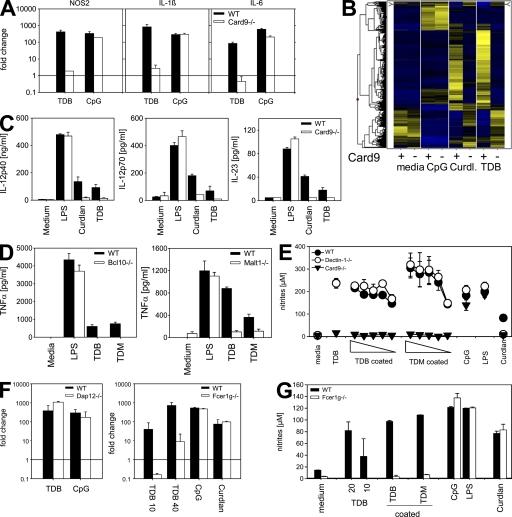 https://cdn.ncbi.nlm.nih.gov/pmc/blobs/588c/2626670/f2326be26ed2/jem2060089f03.jpg