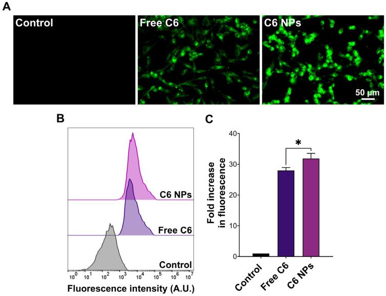 https://cdn.ncbi.nlm.nih.gov/pmc/blobs/588e/11727162/7288a9aa33ee/biomedicines-12-02676-g005.jpg