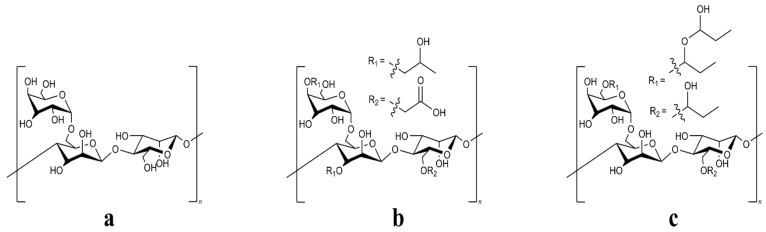 https://cdn.ncbi.nlm.nih.gov/pmc/blobs/588e/12191465/2e41e435ae97/gels-11-00457-g001.jpg
