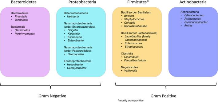 https://cdn.ncbi.nlm.nih.gov/pmc/blobs/588e/9786680/732fc1987d16/NMO-34-e14372-g003.jpg