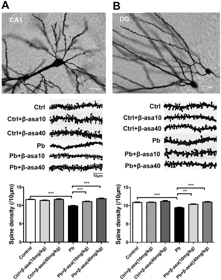 https://cdn.ncbi.nlm.nih.gov/pmc/blobs/588f/5147873/d79ec4475f04/pone.0167401.g003.jpg