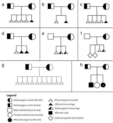 https://cdn.ncbi.nlm.nih.gov/pmc/blobs/5890/10913109/a6f8098a8f88/BMJ-41-97-g3.jpg