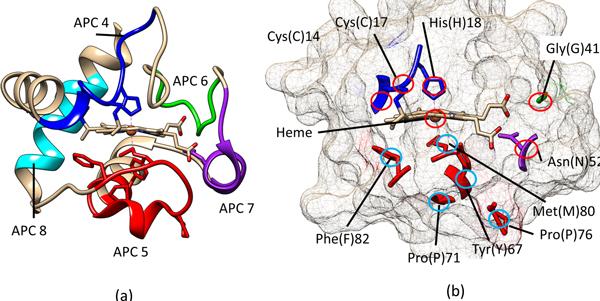 https://cdn.ncbi.nlm.nih.gov/pmc/blobs/5890/4243116/b31dc7f1f6d8/1471-2105-15-S12-S2-6.jpg