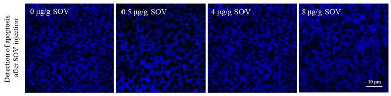 https://cdn.ncbi.nlm.nih.gov/pmc/blobs/5890/8697902/4c808ec30b05/animals-11-03582-g005.jpg