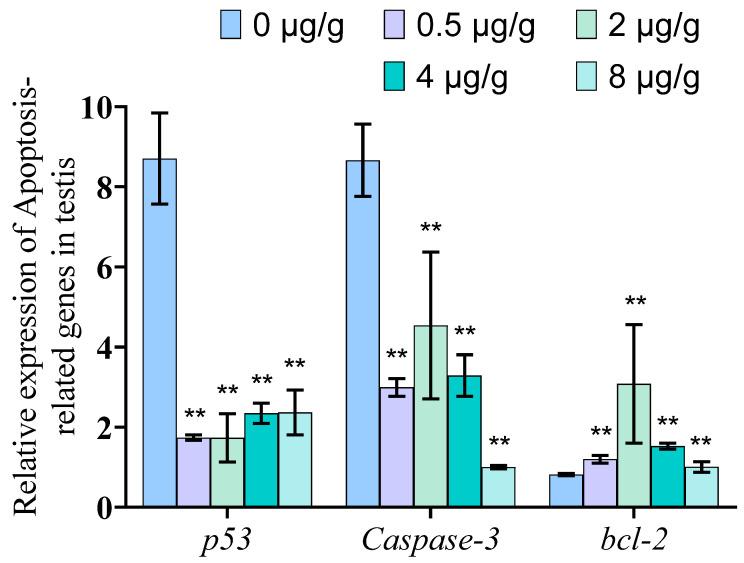 https://cdn.ncbi.nlm.nih.gov/pmc/blobs/5890/8697902/b8857f5927da/animals-11-03582-g006.jpg