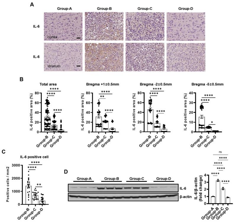 https://cdn.ncbi.nlm.nih.gov/pmc/blobs/5891/11432279/2c3c91af9d43/ijms-25-10034-g005.jpg