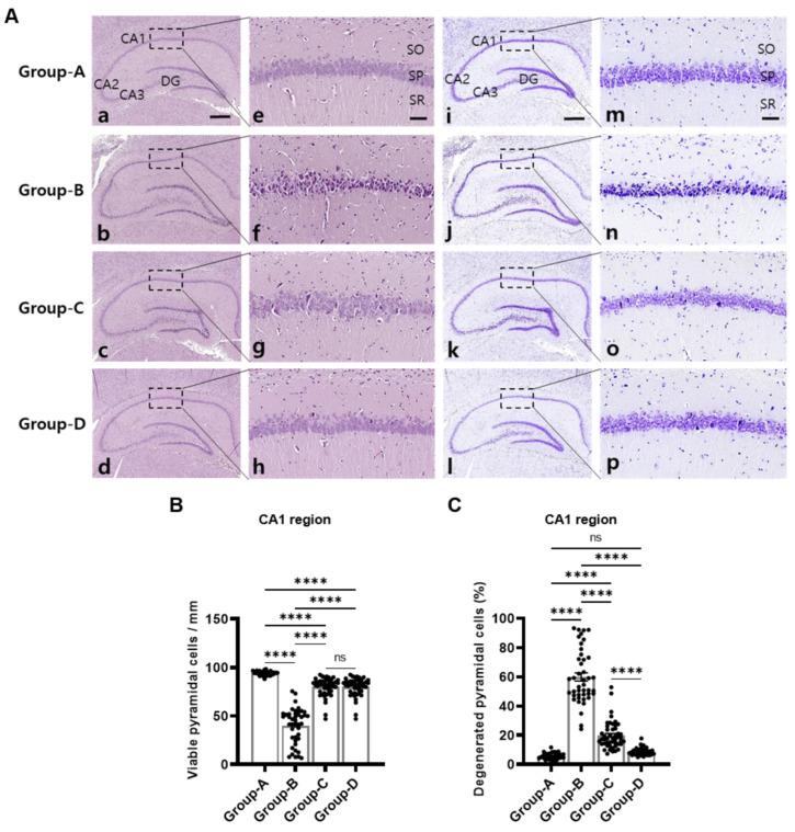 https://cdn.ncbi.nlm.nih.gov/pmc/blobs/5891/11432279/3ba6b166540b/ijms-25-10034-g003.jpg