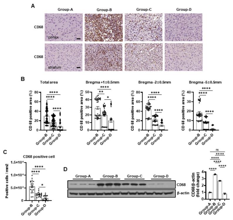 https://cdn.ncbi.nlm.nih.gov/pmc/blobs/5891/11432279/9723a7849746/ijms-25-10034-g004.jpg