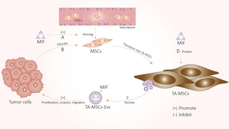 https://cdn.ncbi.nlm.nih.gov/pmc/blobs/5891/9287873/f4b89195ec60/12967_2022_3528_Fig3_HTML.jpg