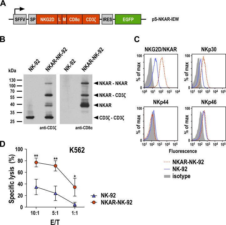 https://cdn.ncbi.nlm.nih.gov/pmc/blobs/5896/8488744/b79c7a012b6f/jitc-2021-002980f05.jpg