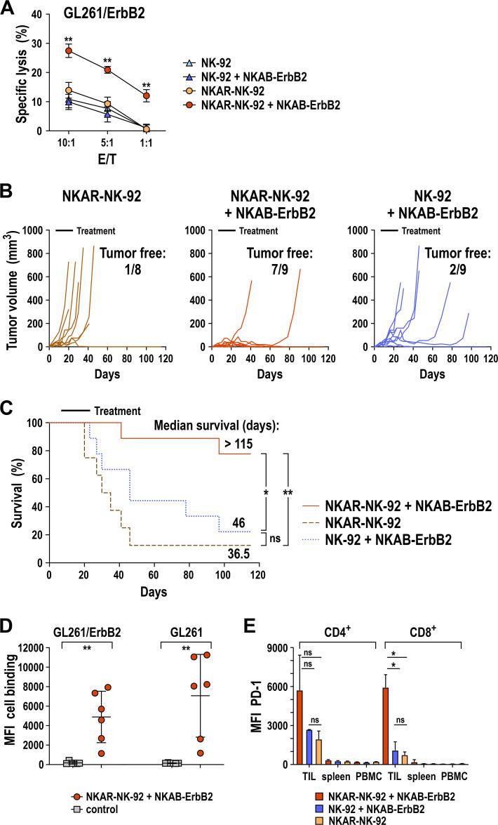 https://cdn.ncbi.nlm.nih.gov/pmc/blobs/5896/8488744/d1a2458dfce9/jitc-2021-002980f07.jpg