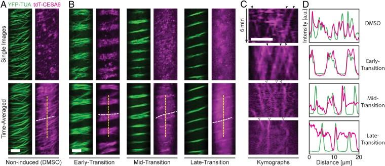 https://cdn.ncbi.nlm.nih.gov/pmc/blobs/5897/6142216/eab08180e5cd/pnas.1802113115fig01.jpg
