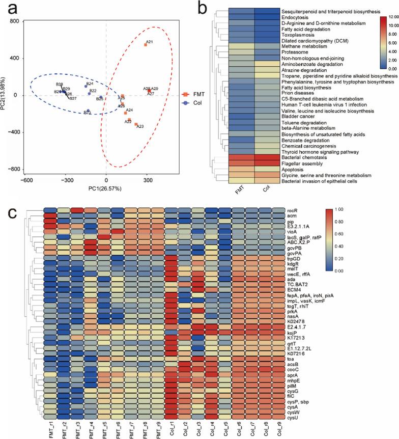 https://cdn.ncbi.nlm.nih.gov/pmc/blobs/5897/8715582/570c09e7400e/12934_2021_1720_Fig5_HTML.jpg