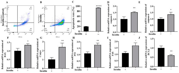https://cdn.ncbi.nlm.nih.gov/pmc/blobs/5899/11988930/1848c74fb5fb/ijms-26-03122-g004.jpg