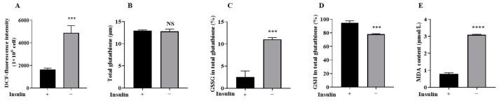 https://cdn.ncbi.nlm.nih.gov/pmc/blobs/5899/11988930/ffb4070b1b56/ijms-26-03122-g003.jpg
