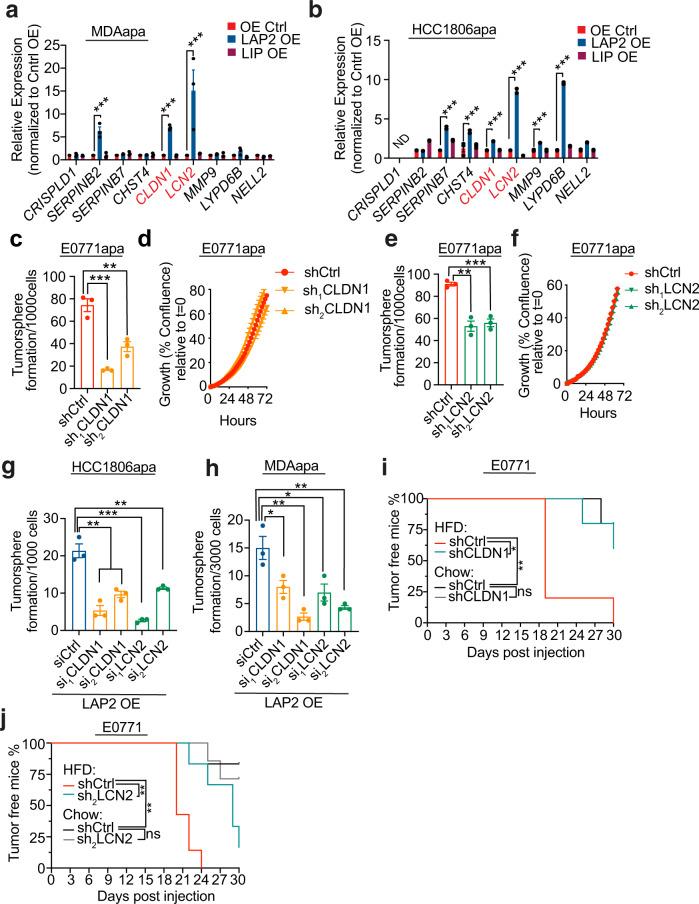 https://cdn.ncbi.nlm.nih.gov/pmc/blobs/5899/8748947/d5165e998e28/41467_2021_27734_Fig6_HTML.jpg