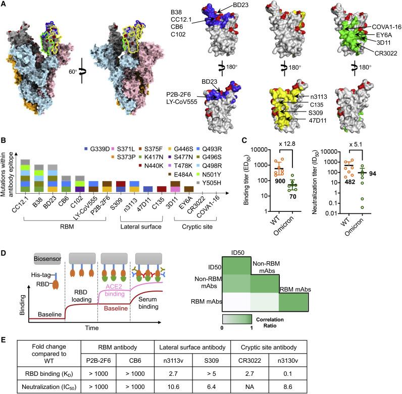 https://cdn.ncbi.nlm.nih.gov/pmc/blobs/589a/8907017/299e87850f9c/gr1_lrg.jpg