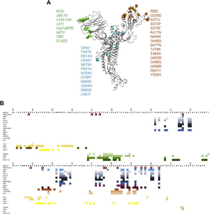 https://cdn.ncbi.nlm.nih.gov/pmc/blobs/589a/8907017/478947ac66fb/figs1_lrg.jpg