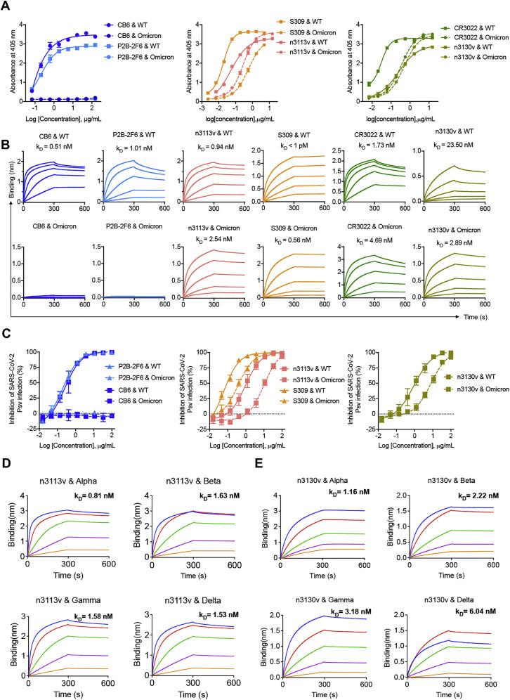 https://cdn.ncbi.nlm.nih.gov/pmc/blobs/589a/8907017/a64520bff288/figs3_lrg.jpg