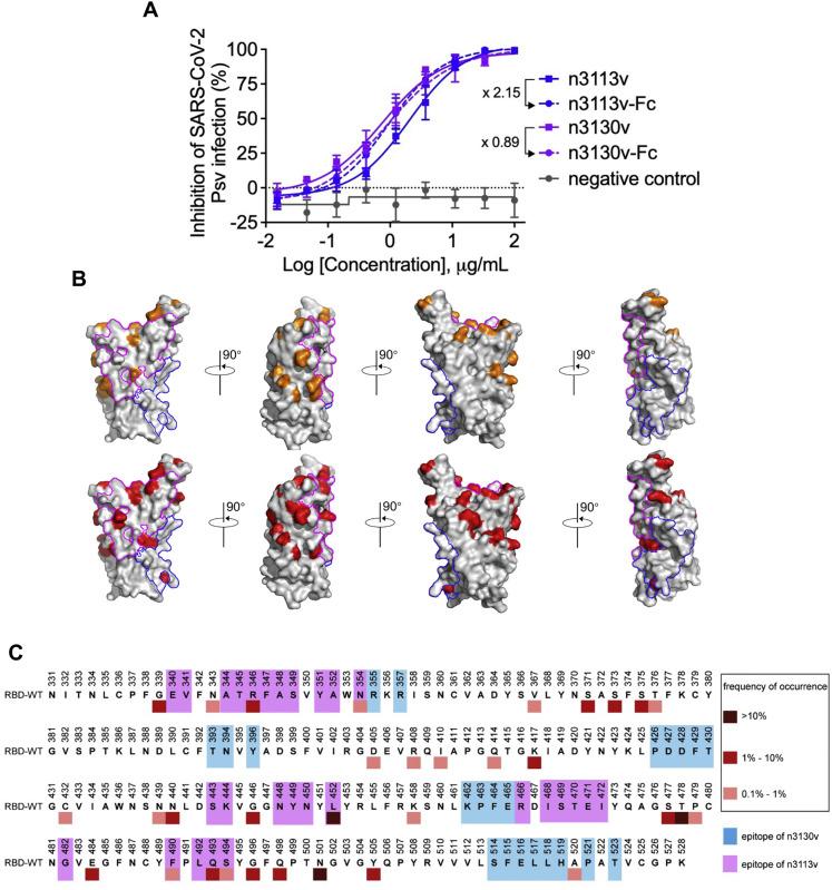 https://cdn.ncbi.nlm.nih.gov/pmc/blobs/589a/8907017/c453dad92cca/figs6_lrg.jpg