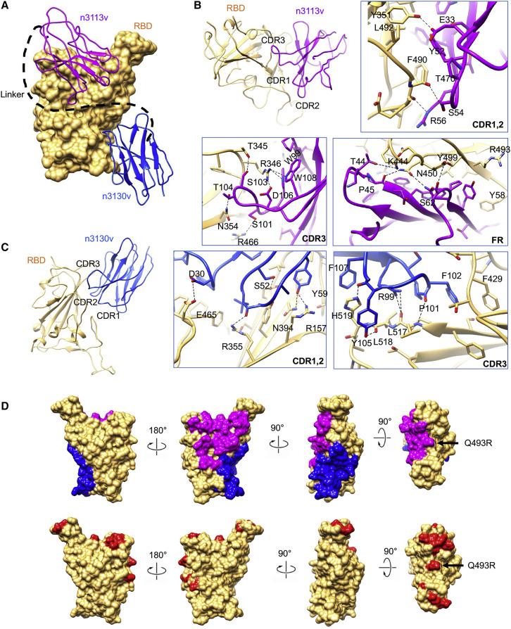 https://cdn.ncbi.nlm.nih.gov/pmc/blobs/589a/8907017/ead6264d32d4/gr4_lrg.jpg