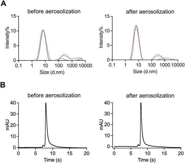https://cdn.ncbi.nlm.nih.gov/pmc/blobs/589a/8907017/eb5299e2de82/figs7_lrg.jpg