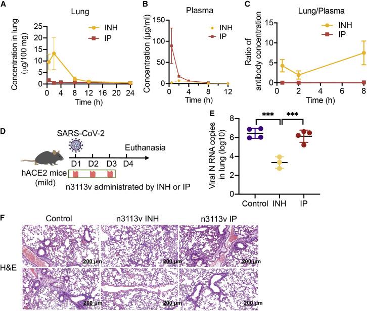 https://cdn.ncbi.nlm.nih.gov/pmc/blobs/589a/8907017/f389f11cd301/gr6_lrg.jpg