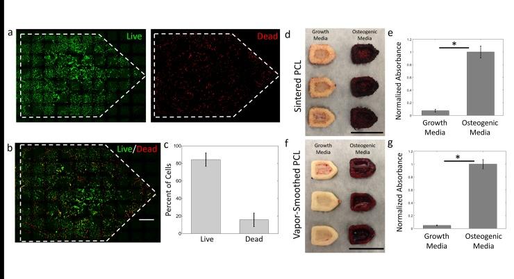 https://cdn.ncbi.nlm.nih.gov/pmc/blobs/589b/4739701/9bbd7a6abdf9/pone.0147399.g008.jpg