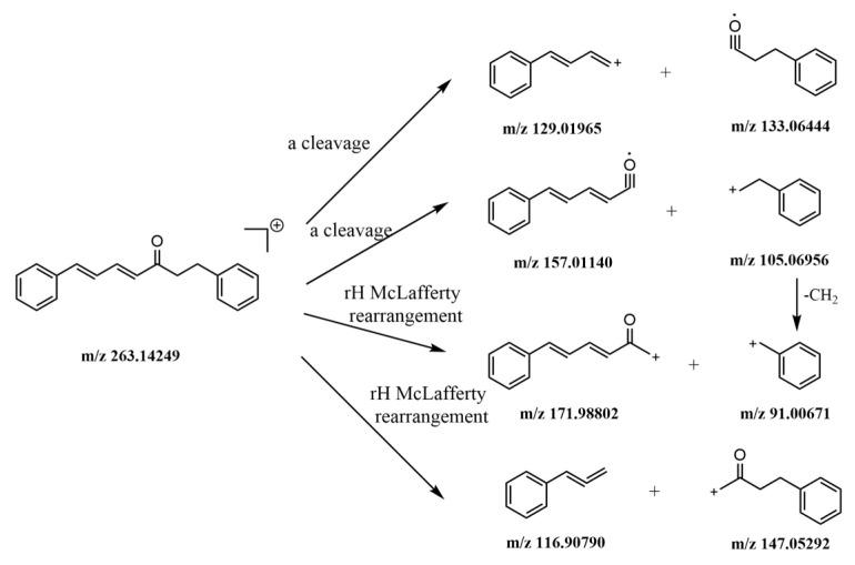 https://cdn.ncbi.nlm.nih.gov/pmc/blobs/589b/6681077/1b54c32035b6/molecules-24-02561-g008.jpg