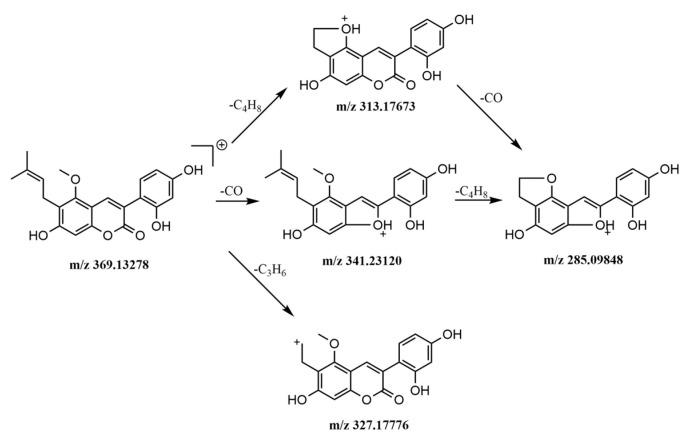 https://cdn.ncbi.nlm.nih.gov/pmc/blobs/589b/6681077/987f450fbfd9/molecules-24-02561-g006.jpg