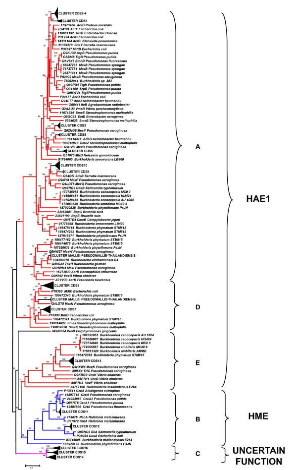 https://cdn.ncbi.nlm.nih.gov/pmc/blobs/589c/2891726/e2ec0c0e5f9a/1471-2148-10-164-7.jpg