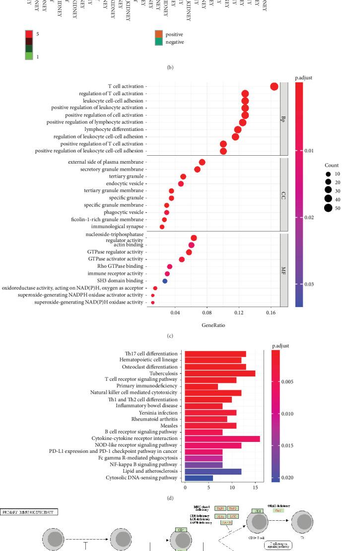 https://cdn.ncbi.nlm.nih.gov/pmc/blobs/589f/11401688/186f01e16bdf/ACP2023-2533992.002.jpg