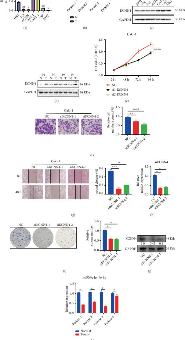 https://cdn.ncbi.nlm.nih.gov/pmc/blobs/589f/11401688/f11518a87c56/ACP2023-2533992.009.jpg