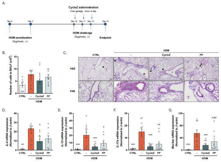 https://cdn.ncbi.nlm.nih.gov/pmc/blobs/58a5/11640671/e449a124ad37/cells-13-02034-g001.jpg