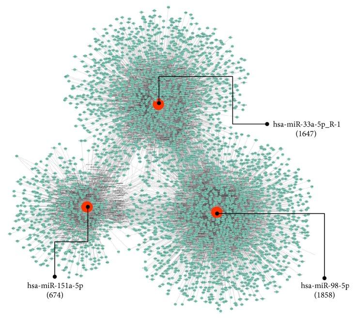 https://cdn.ncbi.nlm.nih.gov/pmc/blobs/58a5/6594342/3c19b68e8099/BMRI2019-1759697.005.jpg