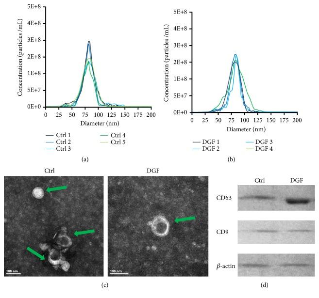 https://cdn.ncbi.nlm.nih.gov/pmc/blobs/58a5/6594342/ce3990bf910e/BMRI2019-1759697.001.jpg