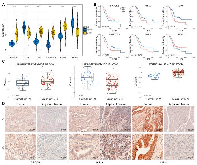 https://cdn.ncbi.nlm.nih.gov/pmc/blobs/58a7/10968840/1d71c71392b5/diagnostics-14-00667-g007.jpg