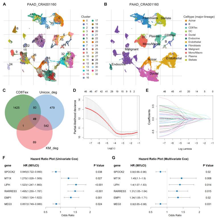 https://cdn.ncbi.nlm.nih.gov/pmc/blobs/58a7/10968840/439080e49e61/diagnostics-14-00667-g002.jpg