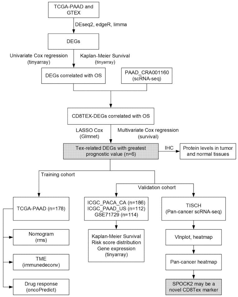 https://cdn.ncbi.nlm.nih.gov/pmc/blobs/58a7/10968840/959dcb9eb212/diagnostics-14-00667-g001.jpg