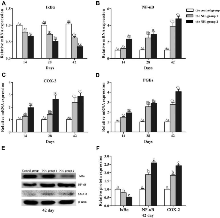 https://cdn.ncbi.nlm.nih.gov/pmc/blobs/58a7/7647833/43d8c4ddbf89/gr4.jpg