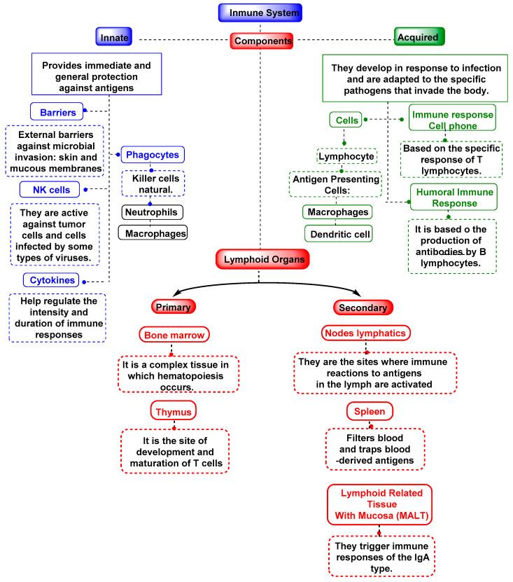 https://cdn.ncbi.nlm.nih.gov/pmc/blobs/58a7/9966263/2f1fd34b04f1/vaccines-11-00218-g004.jpg