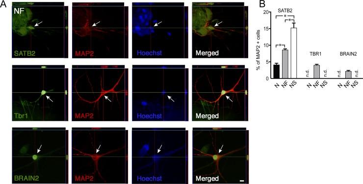 https://cdn.ncbi.nlm.nih.gov/pmc/blobs/58a8/6181302/b409db173f34/pone.0204688.g003.jpg