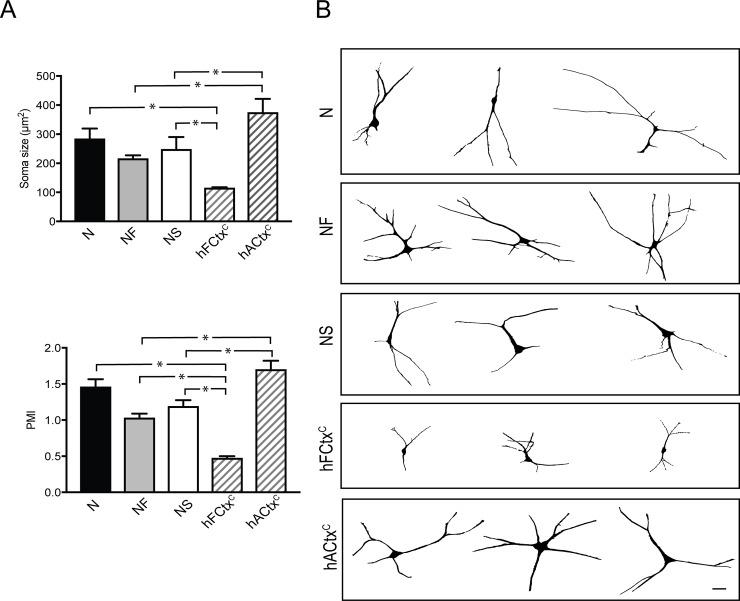 https://cdn.ncbi.nlm.nih.gov/pmc/blobs/58a8/6181302/ff5cbf8f026f/pone.0204688.g002.jpg
