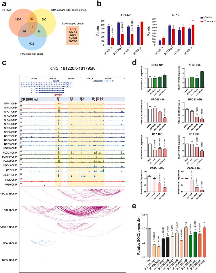 https://cdn.ncbi.nlm.nih.gov/pmc/blobs/58ab/10679863/213c641782a5/gr4.jpg
