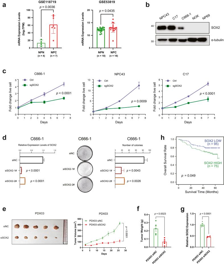 https://cdn.ncbi.nlm.nih.gov/pmc/blobs/58ab/10679863/5adbc4240fe9/gr6.jpg