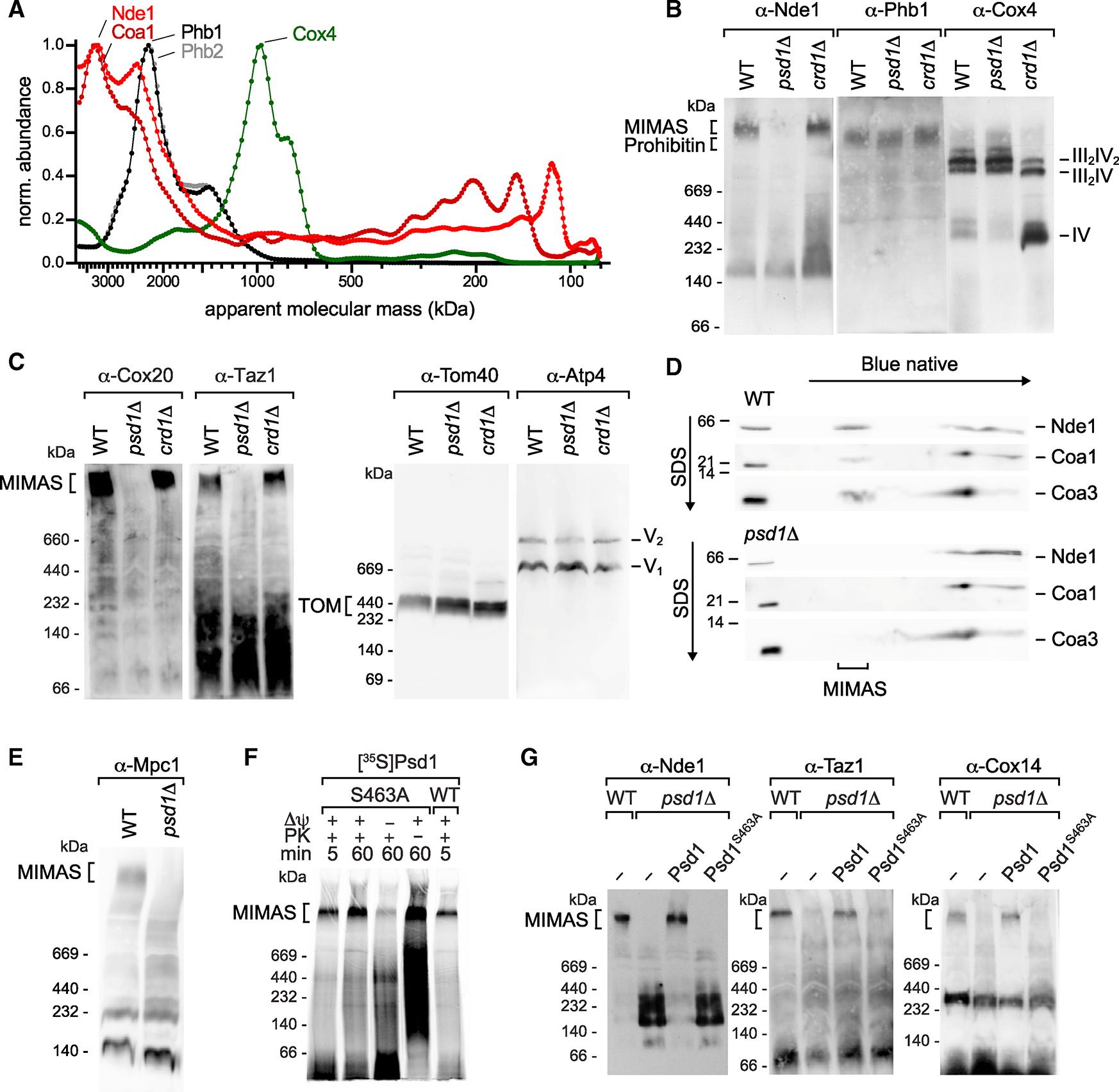 https://cdn.ncbi.nlm.nih.gov/pmc/blobs/58ab/11010658/38188cfbce67/nihms-1980896-f0004.jpg