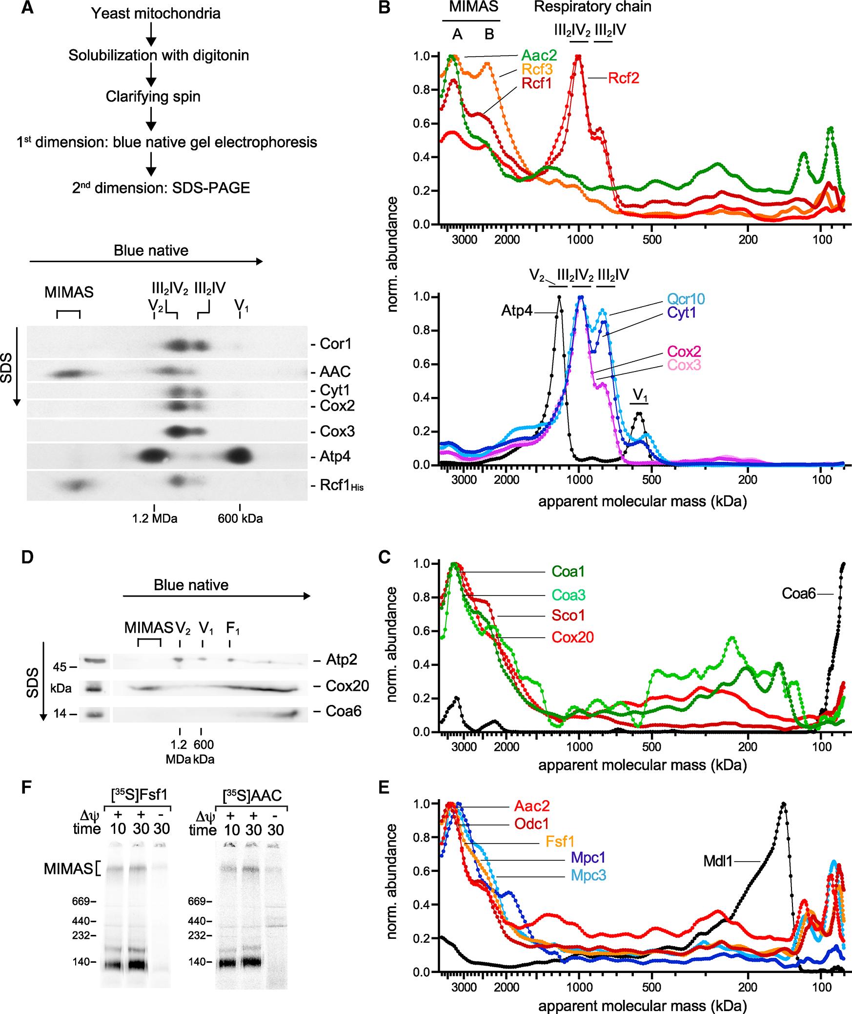 https://cdn.ncbi.nlm.nih.gov/pmc/blobs/58ab/11010658/8221ef03a805/nihms-1980896-f0002.jpg
