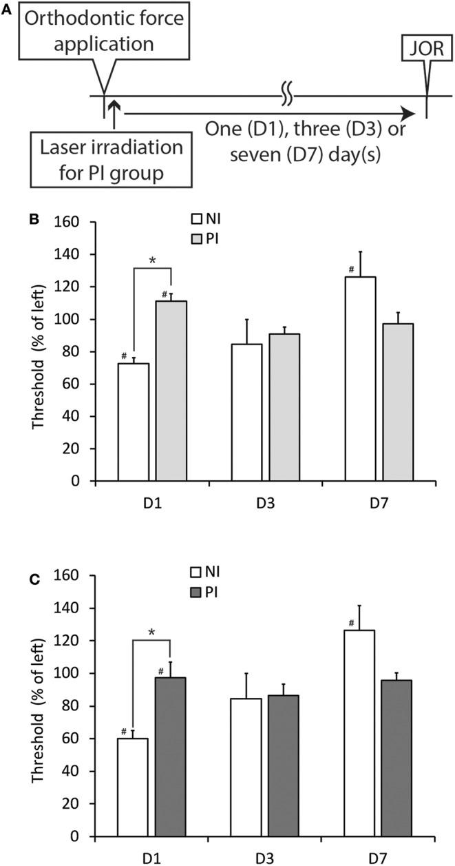 https://cdn.ncbi.nlm.nih.gov/pmc/blobs/58ab/7291923/2de5cd728ec2/fneur-11-00481-g0006.jpg