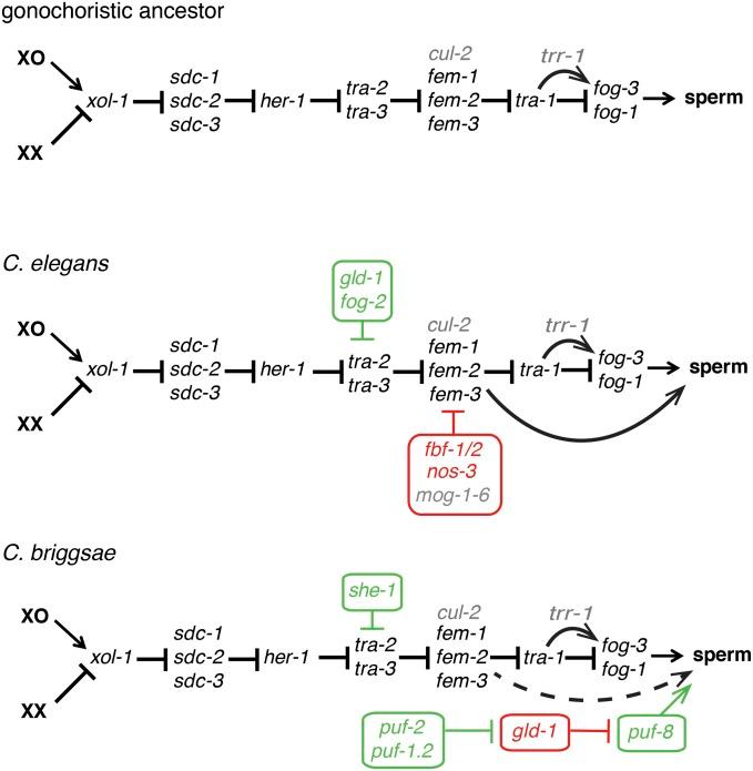 https://cdn.ncbi.nlm.nih.gov/pmc/blobs/58ad/6216592/3aed2459d6ca/397fig3.jpg